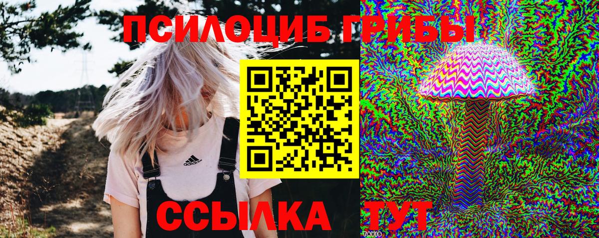Галлюциногенные грибы Magic Shrooms Пугачёв
