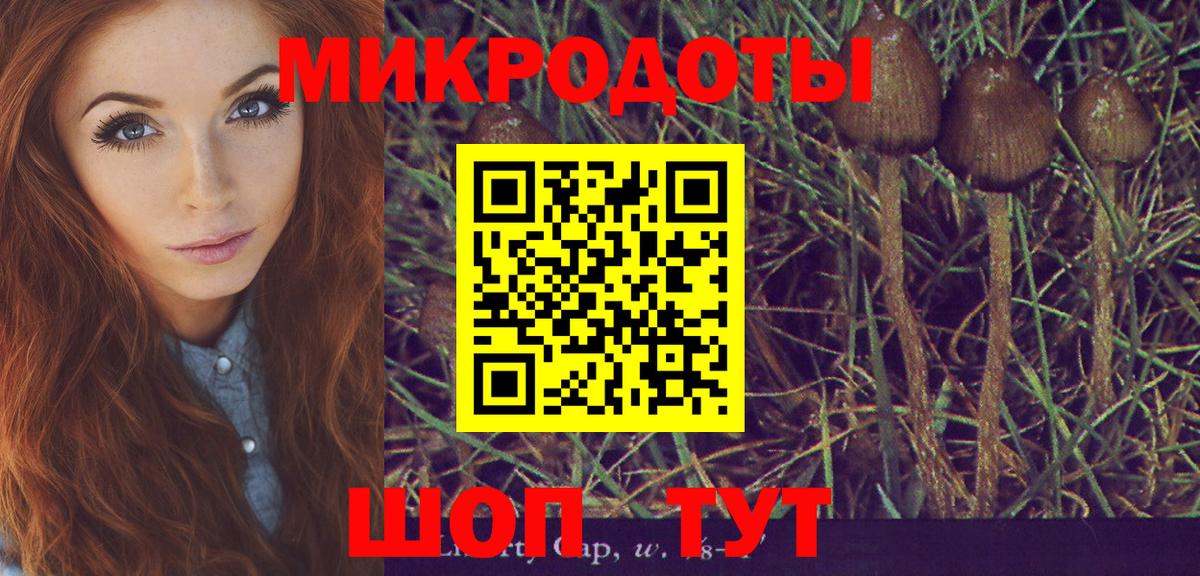 Пугачёв  Галлюциногенные грибы прущие грибы  дарнет шоп  Псилоцибиновые грибы мухоморы  Вход с VPN 